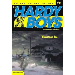 HARDY BOYS HURRICANE JOE