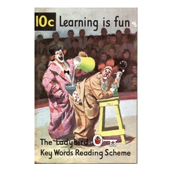 Ladybird- 10C Learning is Fun