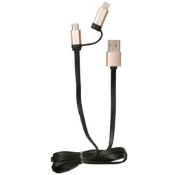 RENON USB DATA CABLE 2 IN 1 RN-129