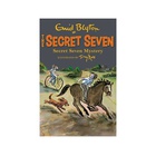 Secret Seven Mystery