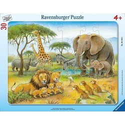 Ravensburger African Animal World 30P