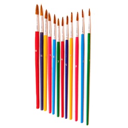 Paint Brushes - 12 Brushes