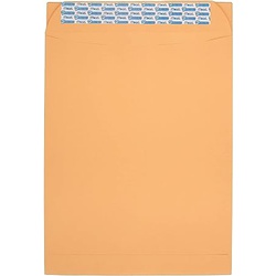 Mead Envelope 76088 Peal and Seal 10X13 PIN H.WGH